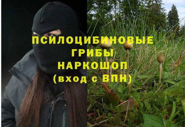 ECSTASY Магас