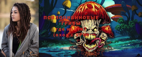 ECSTASY Магас