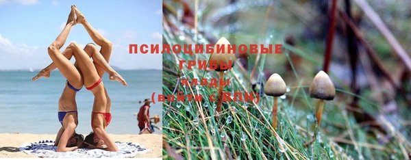 ECSTASY Магас