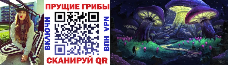 Галлюциногенные грибы Psilocybe  Нягань 