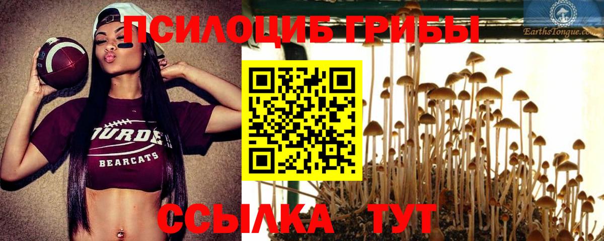 Галлюциногенные грибы MAGIC MUSHROOMS Нягань